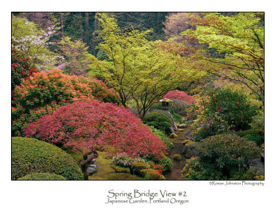Spring Bridge 2.jpg