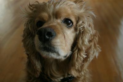 Charlie