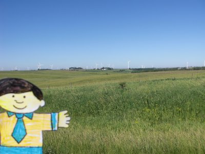 Flat Stanley at the farm