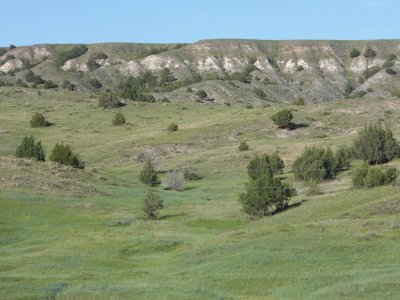 More of the Badlands