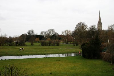 IMG_7082 copy.jpg