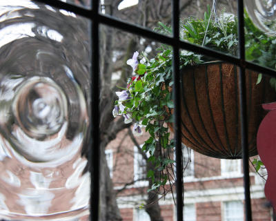 IMG_3468_1.jpg