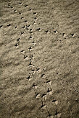 Paths 3
