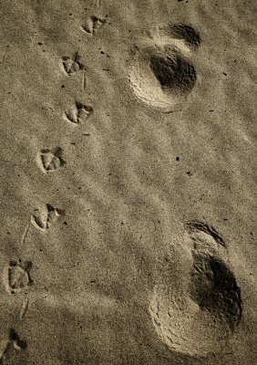 Steps 1