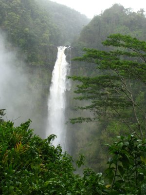 Akaka Falls   -  IMG_2273-1.JPG