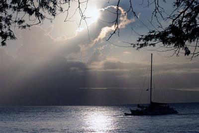Maui unplugged