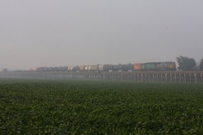 CSX 8737 Q596 Rahm IN 09 Aug 2008