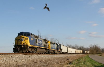 CSX 7684 Q588 Elmwood KY 22 Mar 2009