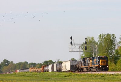 CSX 7496 Q597 Princeton IN 18 Apr 2010