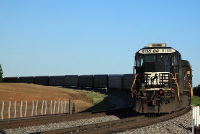 NS 8765 239 Douglas IN 04 May 2010