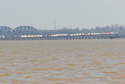 A NB stack trailer train pulls over the flooded Ohio River