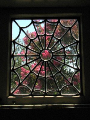 Spiderweb Window