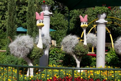 Dancing Ostriches Topiary