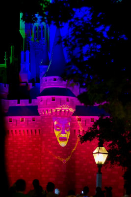Wishes Castle Projection