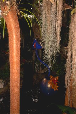 IMG_0891.jpg