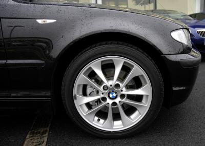 BMW Style 98 Double Spoke Wheel 17