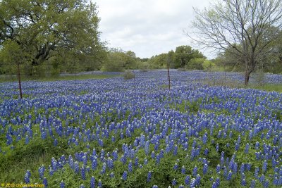 DSCF0092.jpg