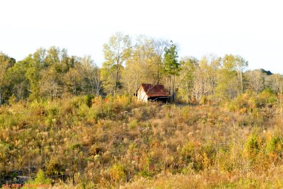 Old-LA-Cabin2.jpg