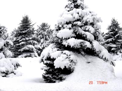 2701 SNOW 2006.jpg