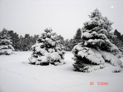 LINCOLN NE SNOW.jpg