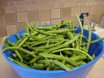 g3/91/552691/3/58176248.HONEGROWNGREENBEANS.jpg