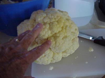 CAULIFLOWER-2.JPG