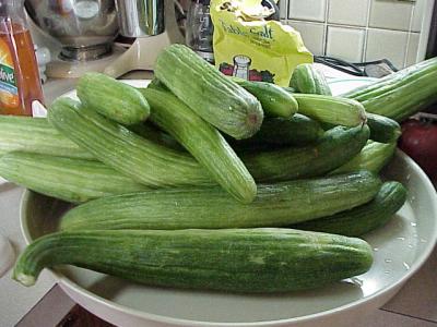 CUKE--MORE.JPG