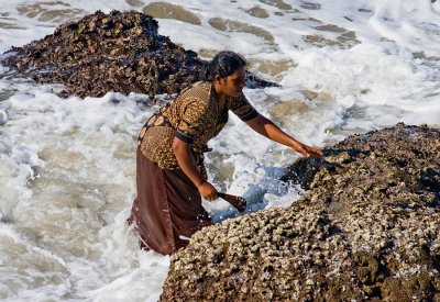 Woman Collecting Mussels