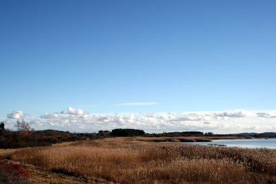 g3/91/589591/3/89144727.pMVngwRC.jpg