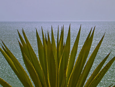 g3/91/592591/3/119838362.F9mr3uLz.jpg