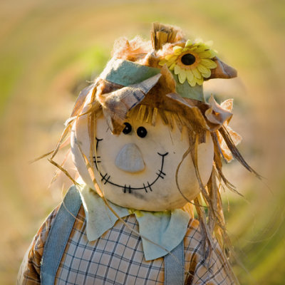 Scarecrow  Tjärnö