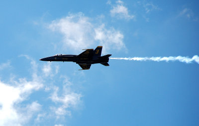 The Blue Angels 2008