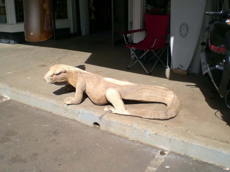 Haleiwa, North Shore Oahu (dont worry, hes made of wood)