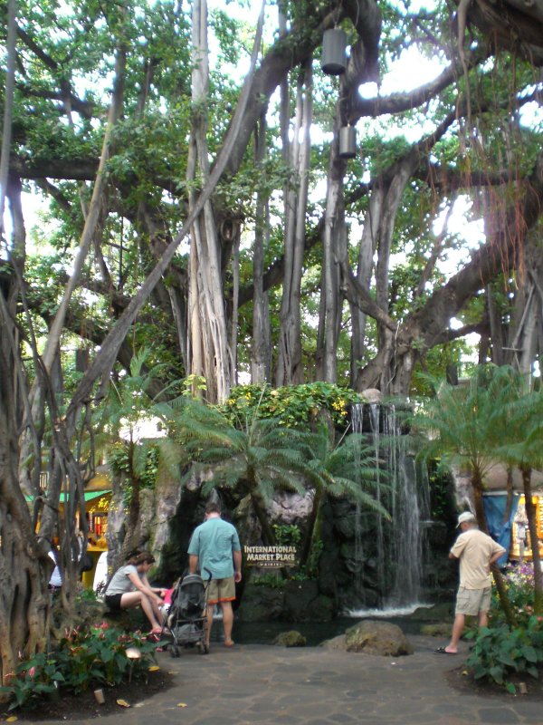 The International Market Place land was owned by Queen Emma Kaleleonalani, wife of King Kamehameha IV