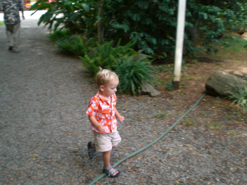 Jake chasing birds
