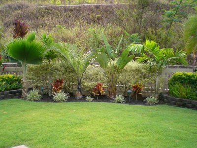 More Tammie's pretty yard