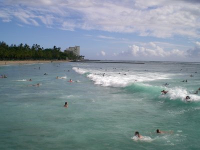 Surf's up!
