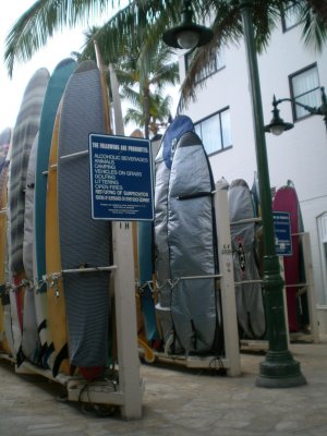 Longboard forest