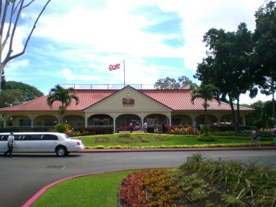 Circle Island trip stop #1: Dole Plantation!