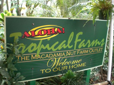 Oahu's only Macadamia Farm Outlet