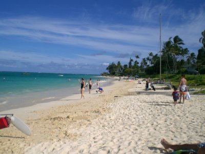 The best swimming beach in the state