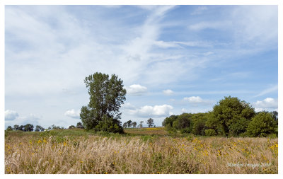 Headwaters Park, north view, Elburn