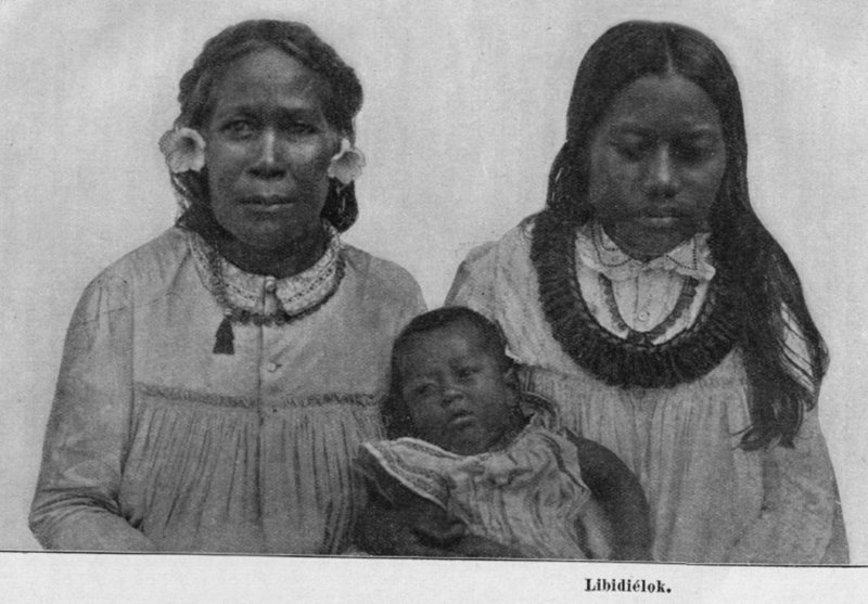Linear & Libidielok 1895
