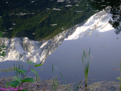 Monte Bianco - Chamonix