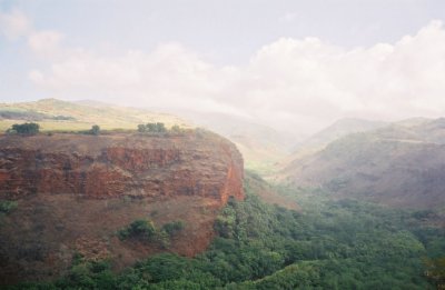 0084800-R1-025-11.jpg