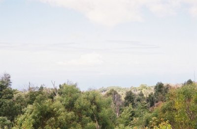 0084800-R4-017-7.jpg
