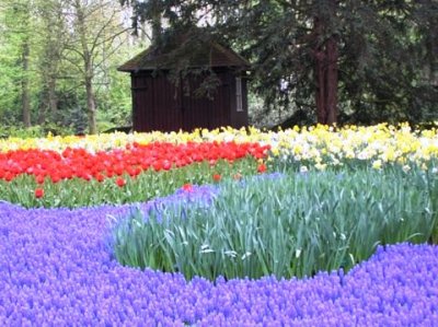 Flowershed.jpg