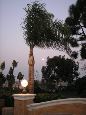 FullMoonRising.jpg