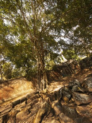 Ta Prohm 22.jpg