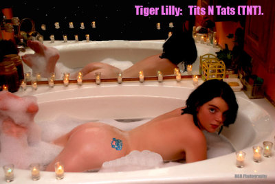 Tiger Lilly N 216 AT CALENDAR EMAIL.jpg
